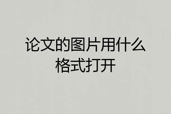 论文的图片用什么格式打开