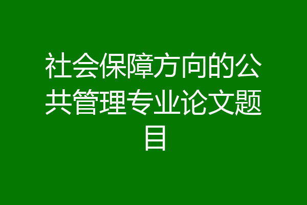 社会保障方向的公共管理专业论文题目