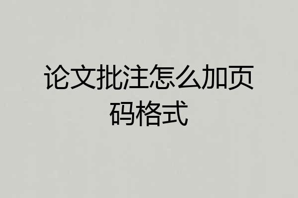 论文批注怎么加页码格式