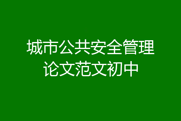 城市公共安全管理论文范文初中