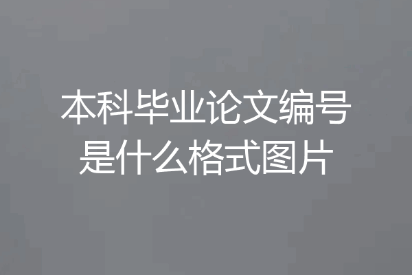 本科毕业论文编号是什么格式图片
