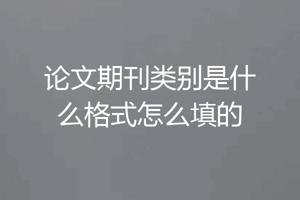 论文期刊类别是什么格式怎么填的