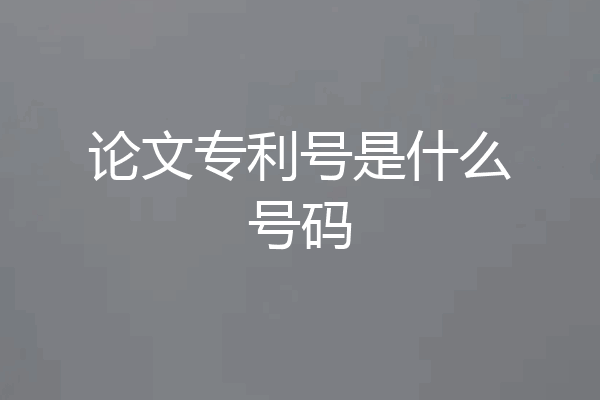 论文专利号是什么号码