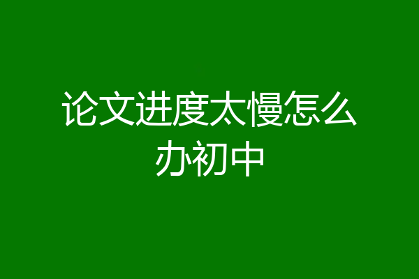 论文进度太慢怎么办初中