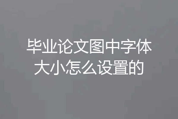 毕业论文图中字体大小怎么设置的
