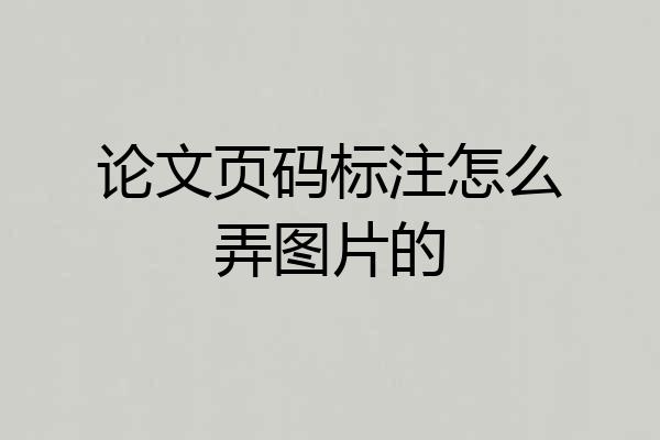 论文页码标注怎么弄图片的