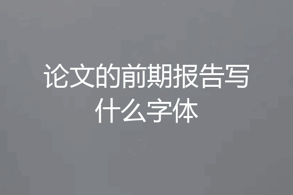 论文的前期报告写什么字体