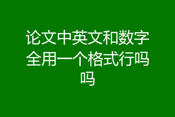 论文中英文和数字全用一个格式行吗吗