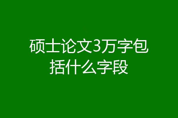 硕士论文3万字包括什么字段