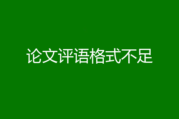 论文评语格式不足
