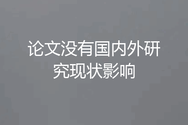 论文没有国内外研究现状影响