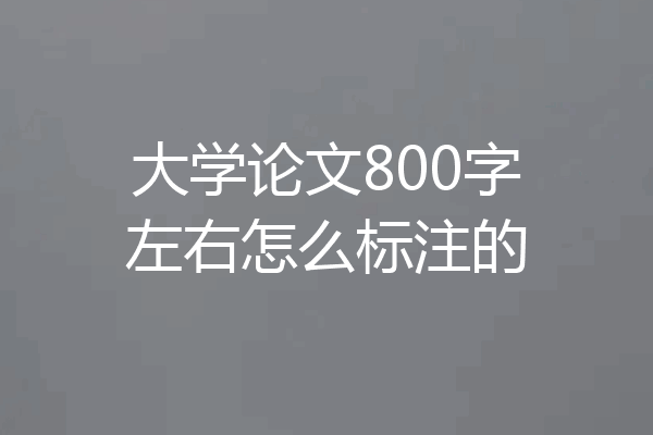 大学论文800字左右怎么标注的