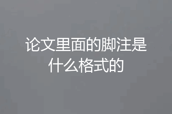 论文里面的脚注是什么格式的