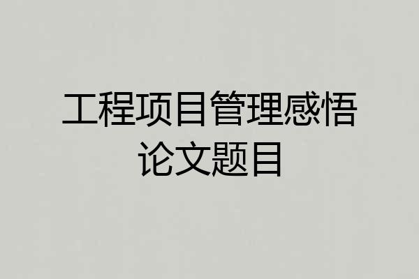 工程项目管理感悟论文题目