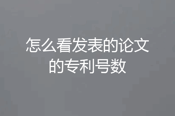 怎么看发表的论文的专利号数