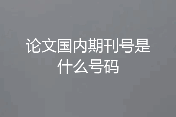论文国内期刊号是什么号码