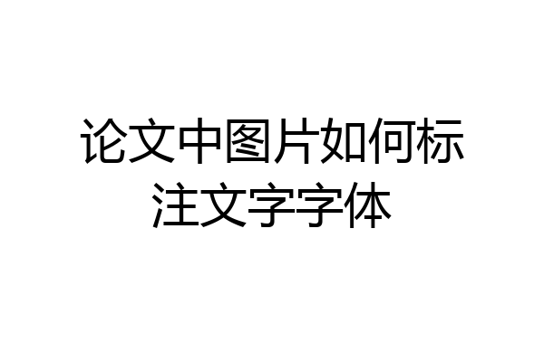 论文中图片如何标注文字字体