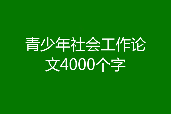 青少年社会工作论文4000个字