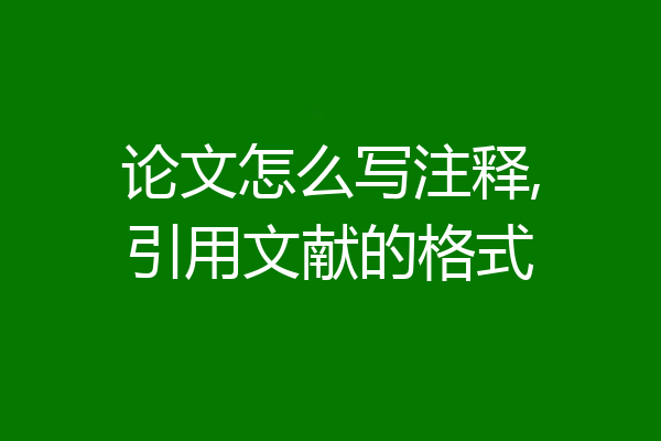 论文怎么写注释,引用文献的格式