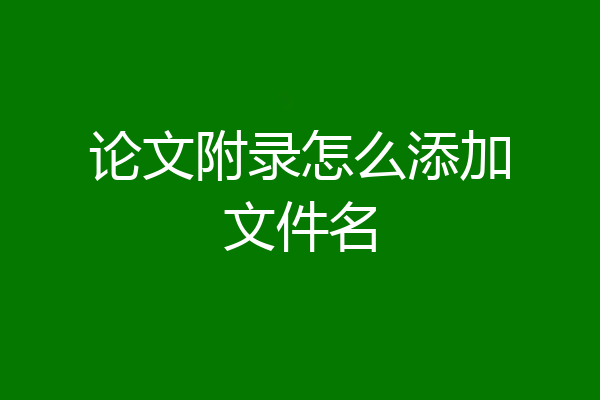 论文附录怎么添加文件名