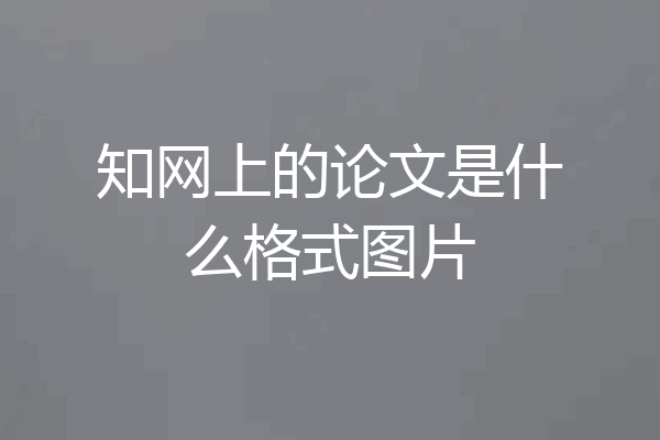 知网上的论文是什么格式图片