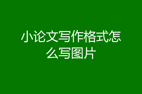 小论文写作格式怎么写图片