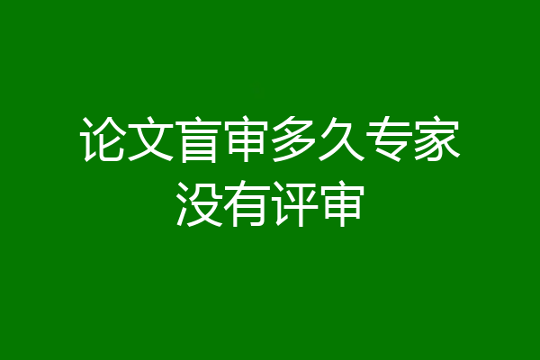 论文盲审多久专家没有评审