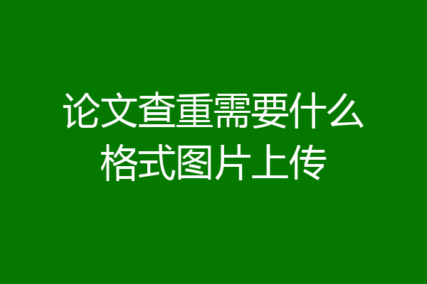 论文查重需要什么格式图片上传