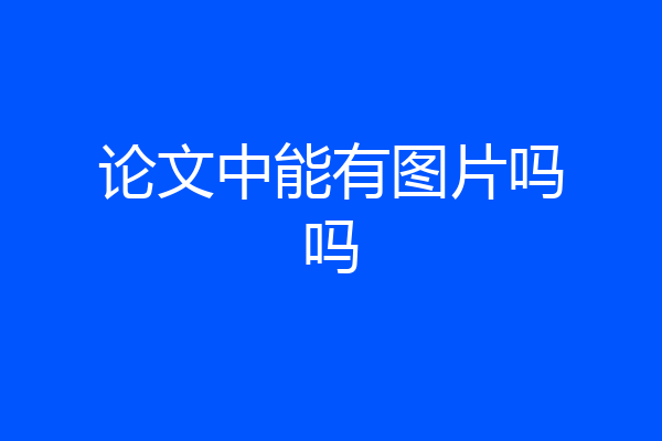 论文中能有图片吗吗