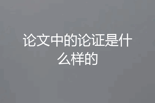 论文中的论证是什么样的