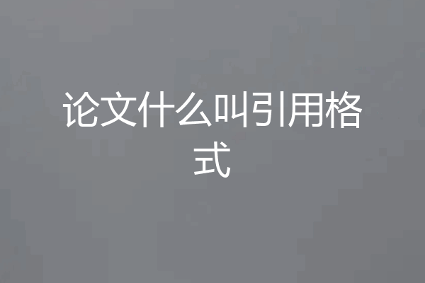 论文什么叫引用格式