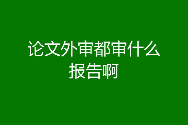 论文外审都审什么报告啊