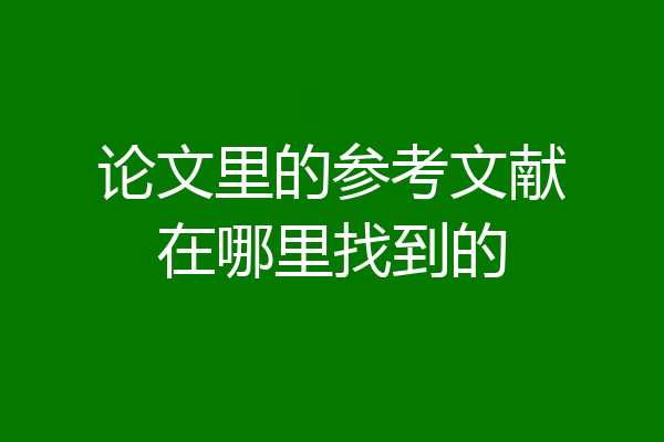 论文里的参考文献在哪里找到的