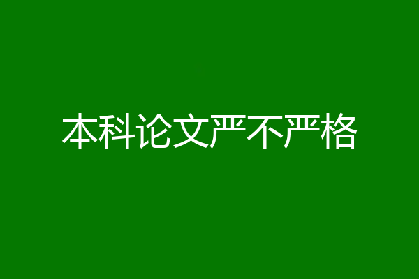 本科论文严不严格
