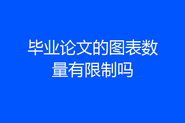 毕业论文的图表数量有限制吗