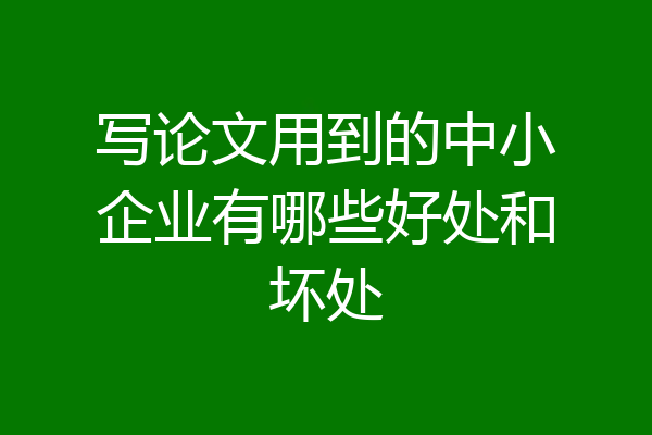 写论文用到的中小企业有哪些好处和坏处