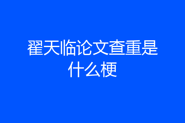 翟天临论文查重是什么梗