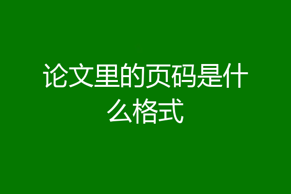 论文里的页码是什么格式