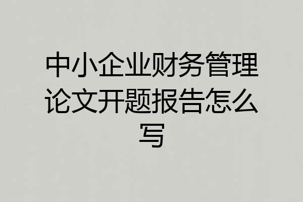 中小企业财务管理论文开题报告怎么写