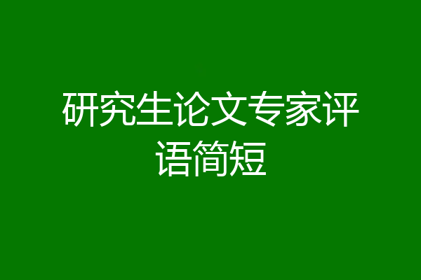 研究生论文专家评语简短