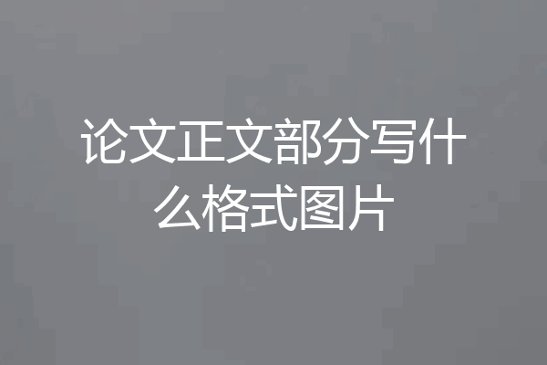 论文正文部分写什么格式图片