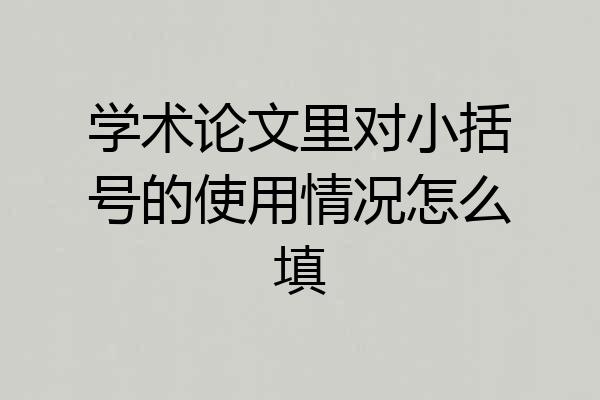 学术论文里对小括号的使用情况怎么填
