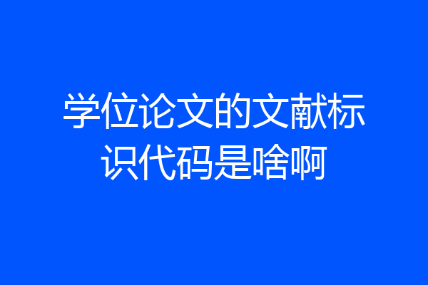 学位论文的文献标识代码是啥啊