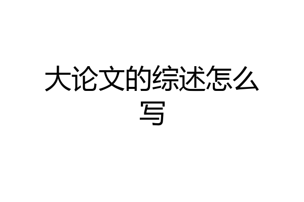 大论文的综述怎么写