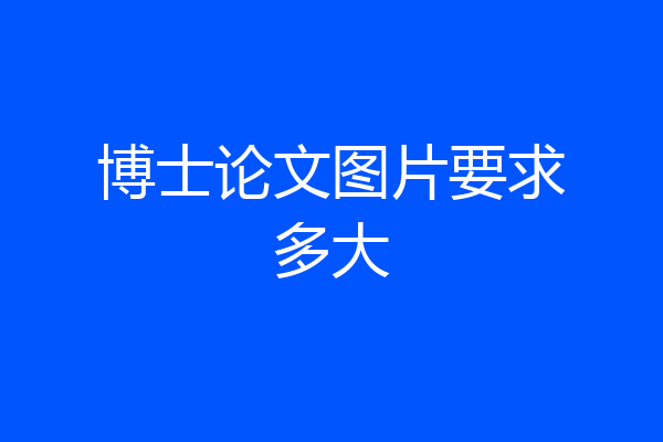 博士论文图片要求多大