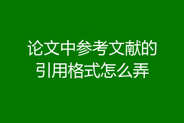论文中参考文献的引用格式怎么弄