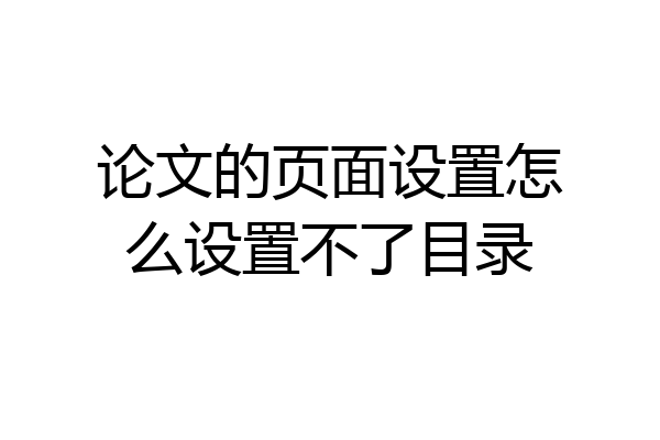 论文的页面设置怎么设置不了目录