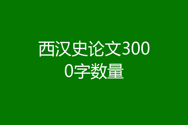西汉史论文3000字数量