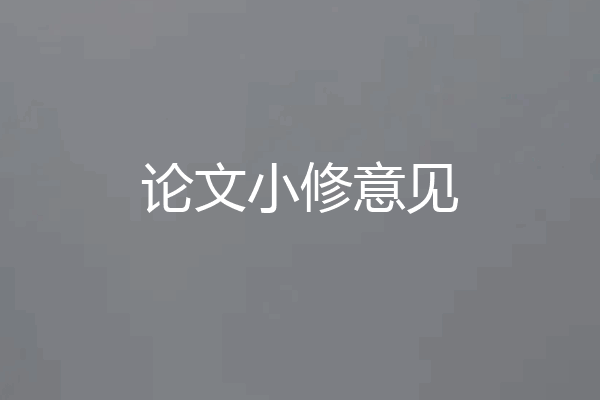 论文小修意见