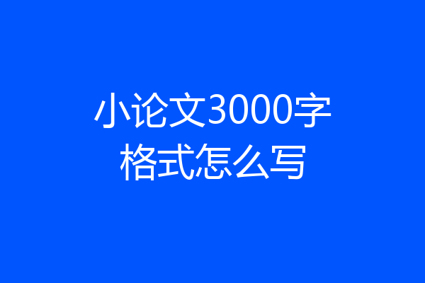小论文3000字格式怎么写
